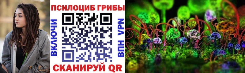 Купить закладки  Льгов  Галлюциногенные грибы мицелий 